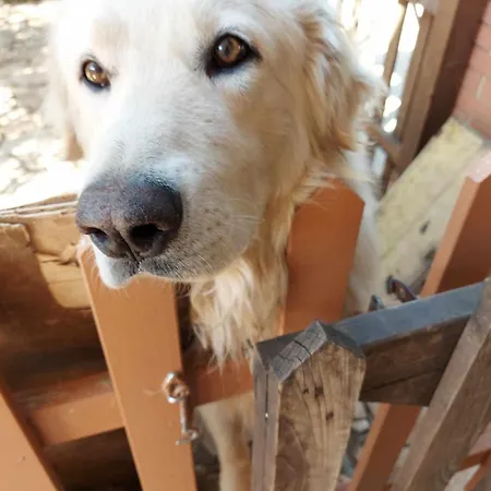 Luciano E Concetta Ragusa