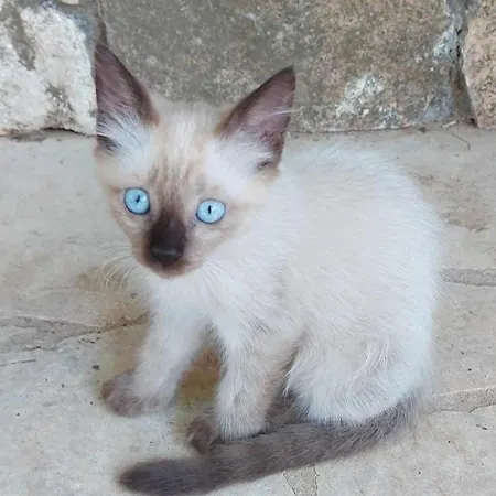 Luciano E Concetta *