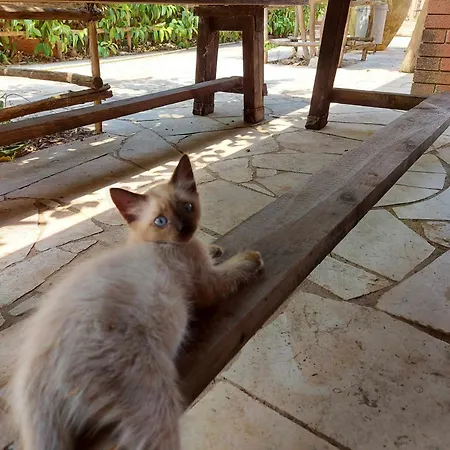 Luciano E Concetta Pensión