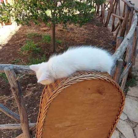 Pensión Luciano E Concetta *