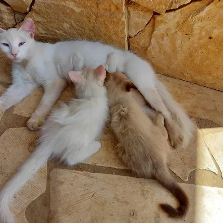 Luciano E Concetta Pensión Ragusa