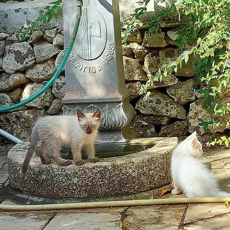 Luciano E Concetta 라구사