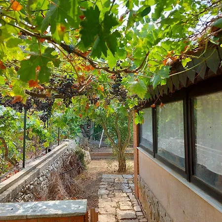 Luciano E Concetta Pensión *