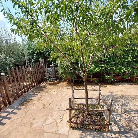 Luciano E Concetta *