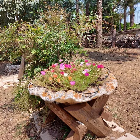 Luciano E Concetta Pensión