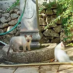 Luciano E Concetta Ragusa