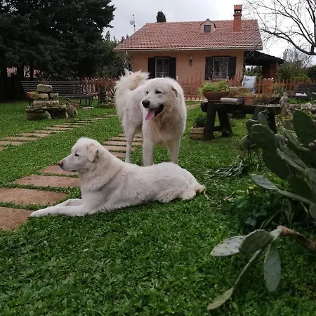 Pensjonat Luciano E Concetta Ragusa