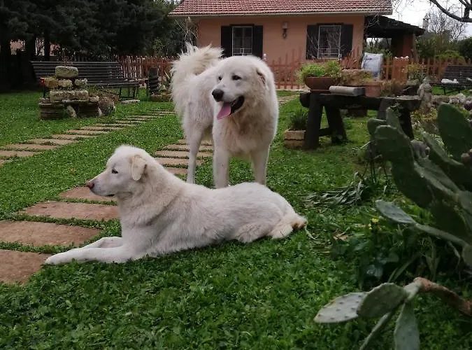 Casa de hóspedes Luciano E Concetta Ragusa